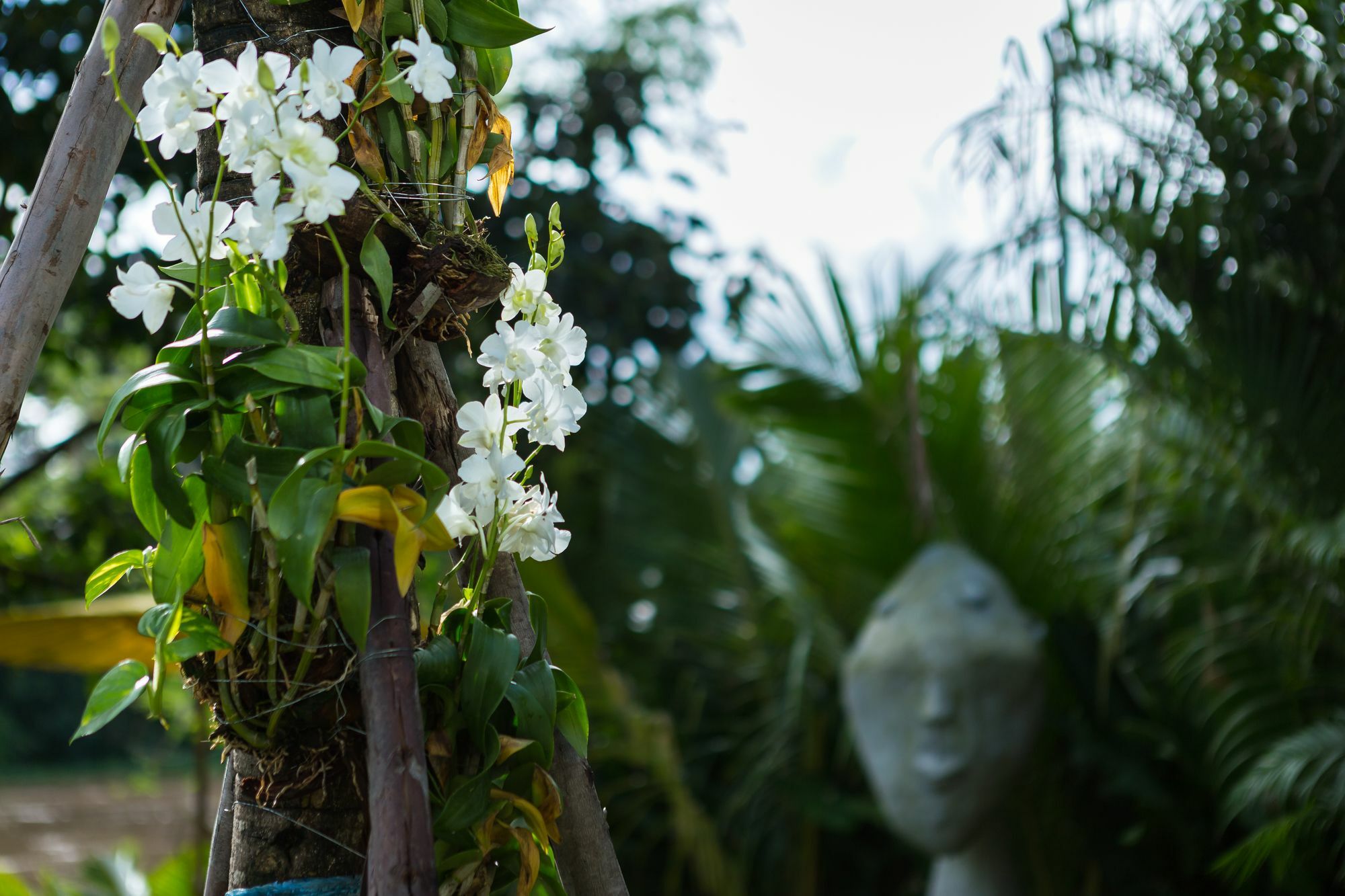 River Art Hotel Chiang Mai Eksteriør billede